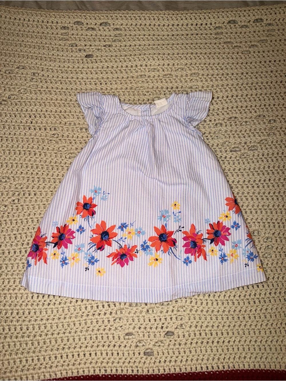 Baby Gap Blue Stripe Floral Border Flutter Sleeve Dress | 12-18M